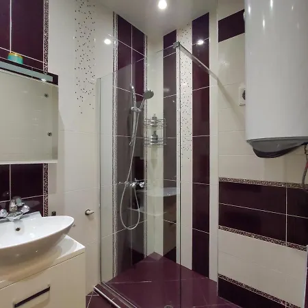 Fancy Downtown Flat